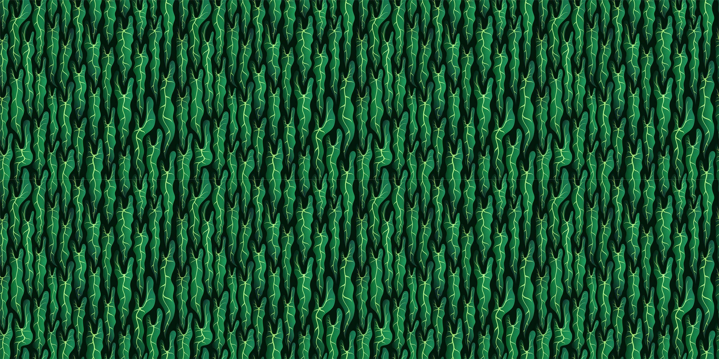 pattern-spiritus-cover-02